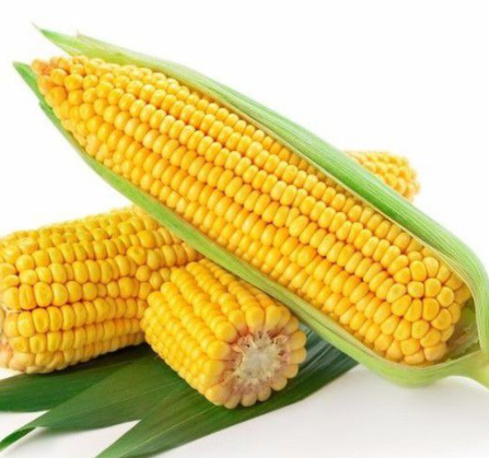 玉米振動篩如何選擇？